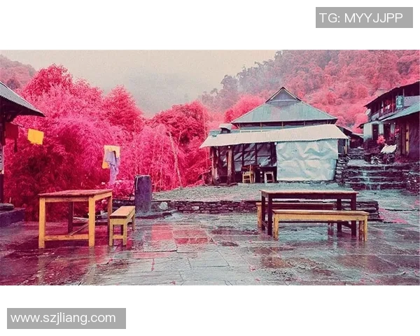 布莱克尼的神秘旅程探索未知与发现的奇妙世界